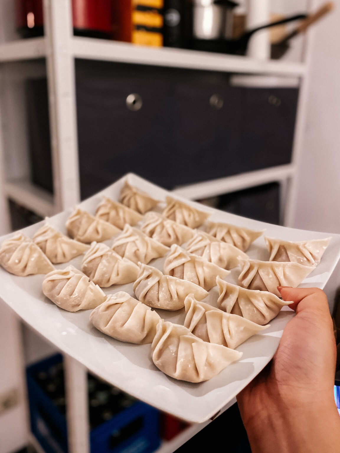My Foolproof Chinese Pork Dumpling Recipe A Dumpling Thing